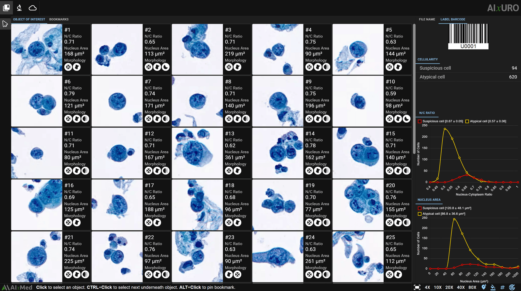 AIxURO gallery highlighting selected cells with quantitative statistics